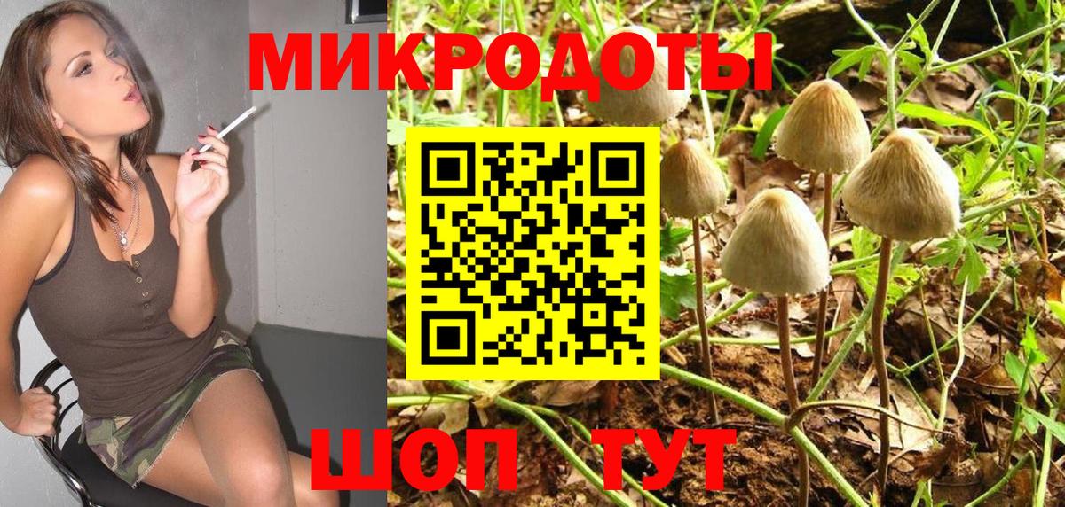Псилоцибиновые грибы Cubensis  Вход с VPN  Избербаш  Псилоцибиновые грибы прущие грибы 